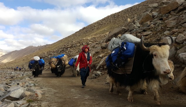 Mount Kailash Trek Day2b