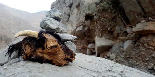 00-stairway-to-heaven-warning-large