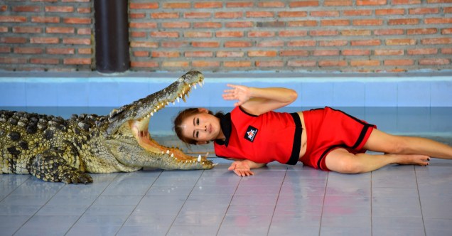 damnoen-saduak-floating-market-crocodile-2-large