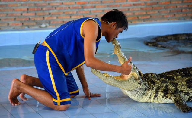 damnoen-saduak-floating-market-crocodile-large