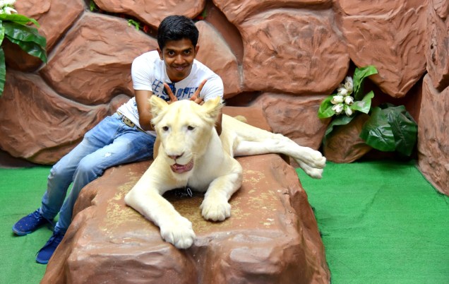 damnoen-saduak-floating-market-lion-large