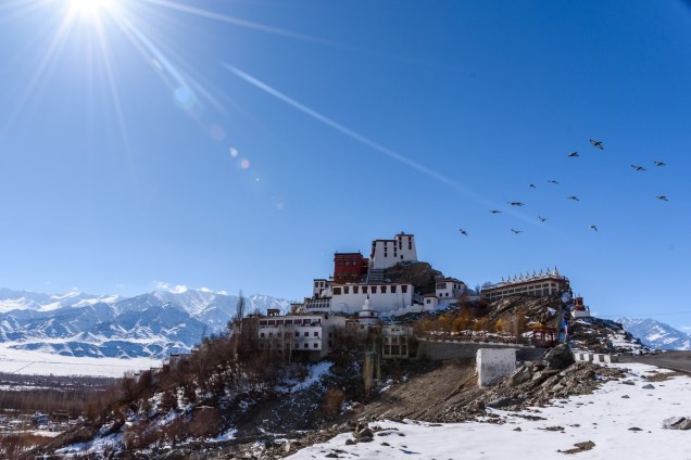 11-Leh-Ladakh--Shey-Palace-Shey-Monastery