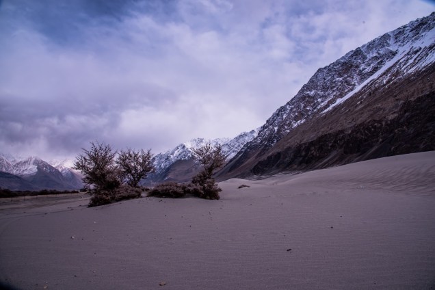 27-Leh-Ladakh-Nubra-Valley