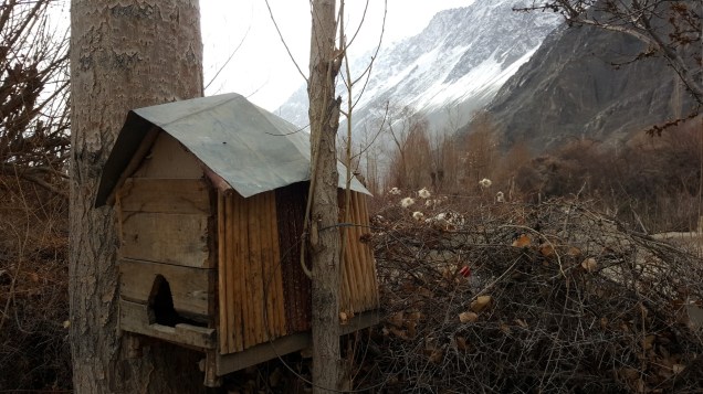 30-Leh-Ladakh-Nubra-Valley-Home-Stay