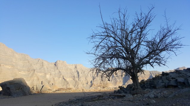 19-Wadi-Shah-Trail-Ground