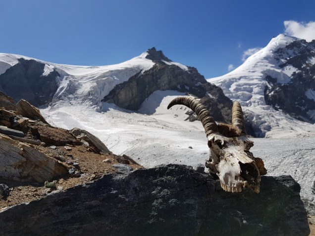 03-Mount-Nun-Camp1-Load-Ferry