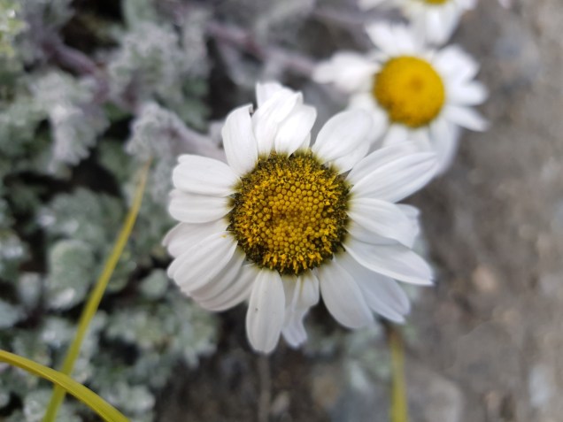 06-Mount-Nun-Back-to-ABC (2)