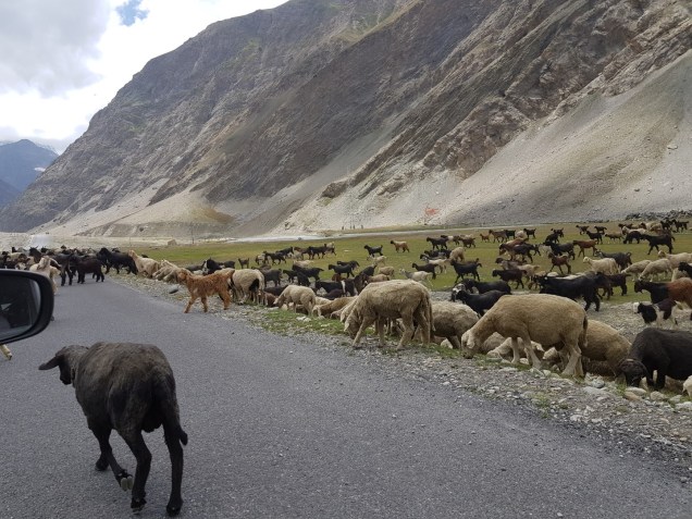 07-On-The-Way-to-Srinagar (2)