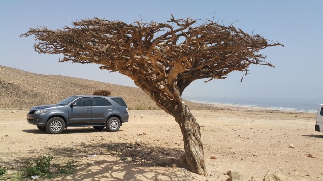 28-Salalah-Anti-Gravity